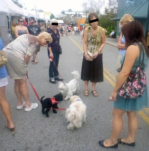 A gathering of dogs