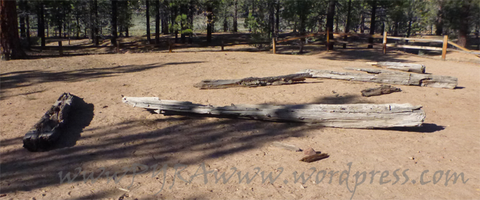 Marker 3) Two Gun Bill's Saloon... really just REMNANTS of an old cabin