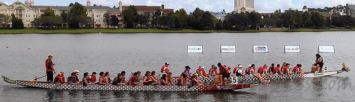Dragon boats on the Disney waterfront