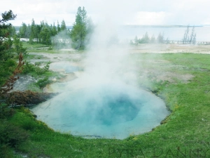 Hot spring at the West Thumb Basin