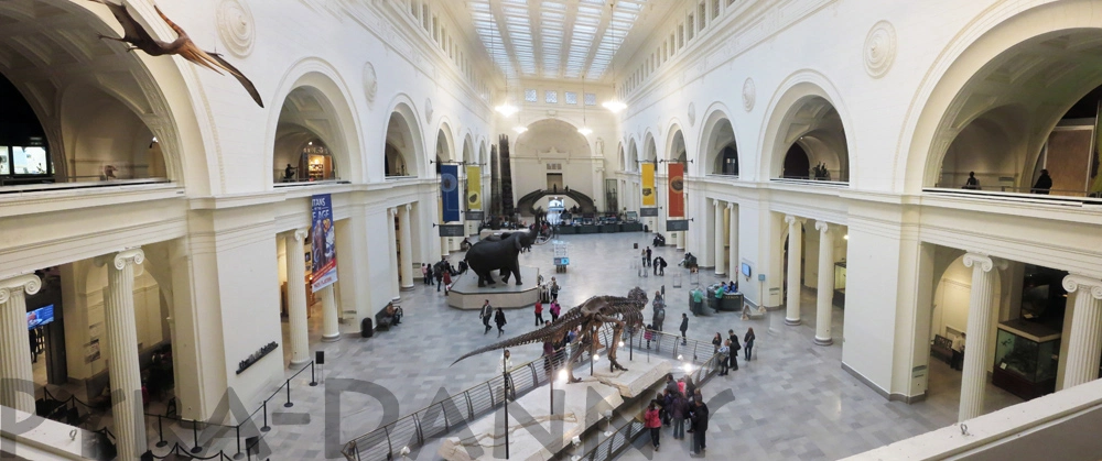 Field Museum Lobby