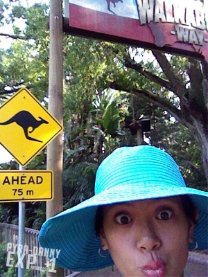 Selfie at Busch Gardens