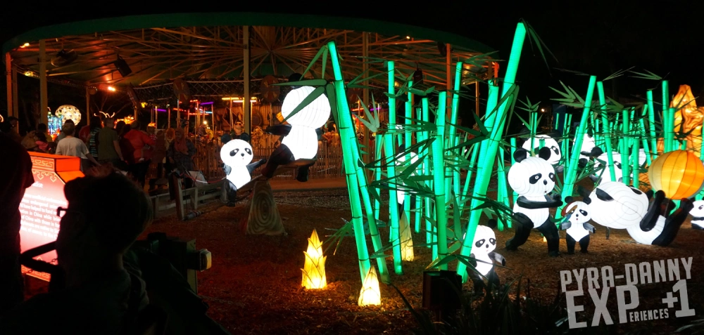 Pandas at a bamboo garden