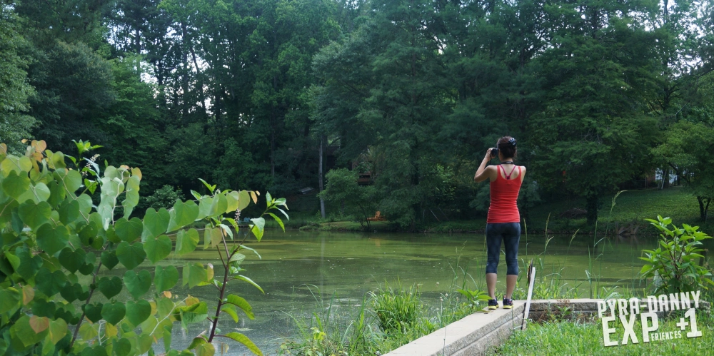 The welcoming and nature-filled backyard to our AirBnB [Atlanta Here We Go | PyraDannyExperiences.com]