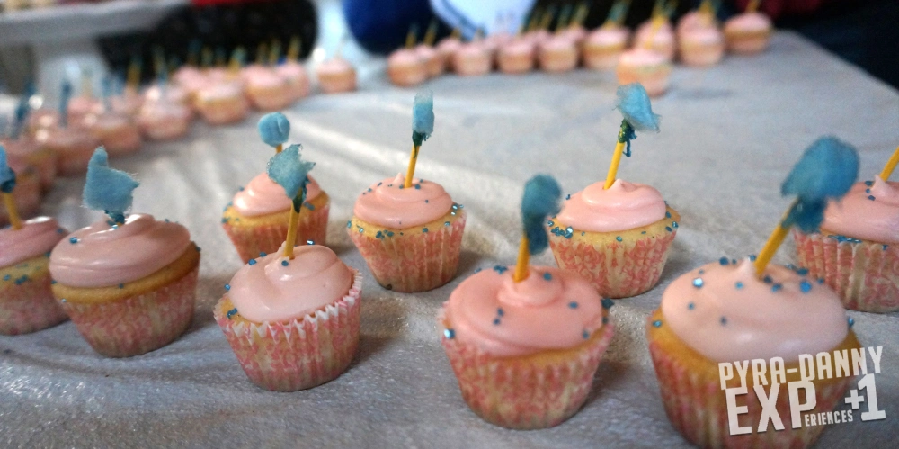 Cotton Candy Cupcakes [The Great St. Pete Cupcake Contest | PyraDannyExperiences.com]