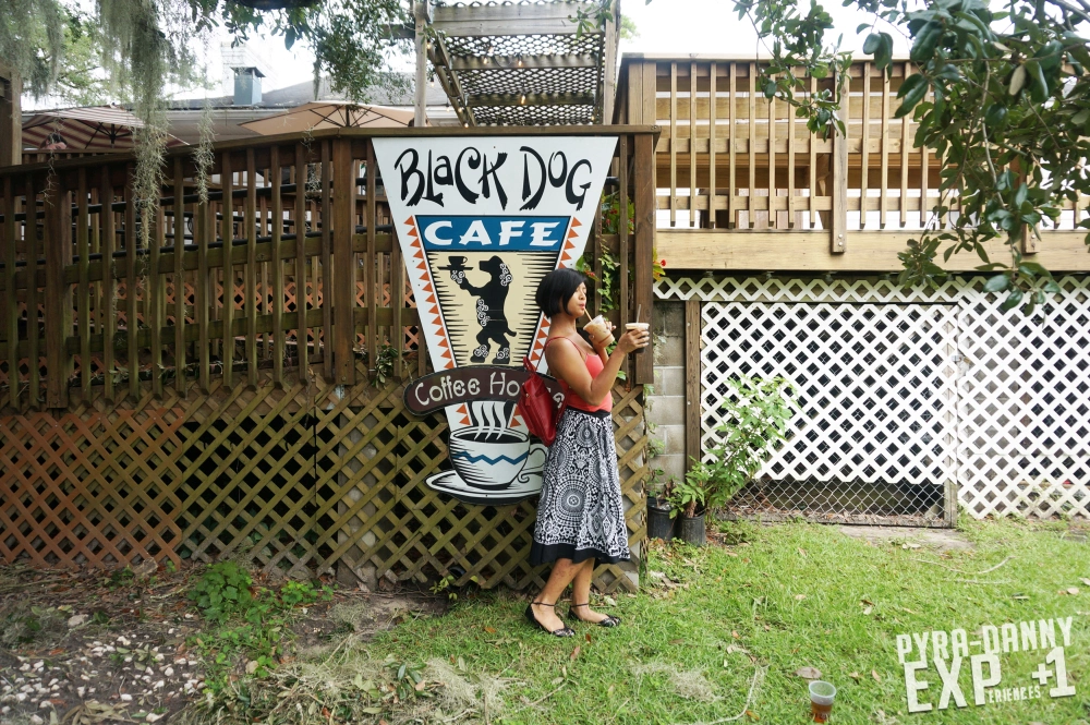 Cold and Nitro Brew from Black Dog [The Tallahassee Outdoors | PyraDannyExperiences.com]