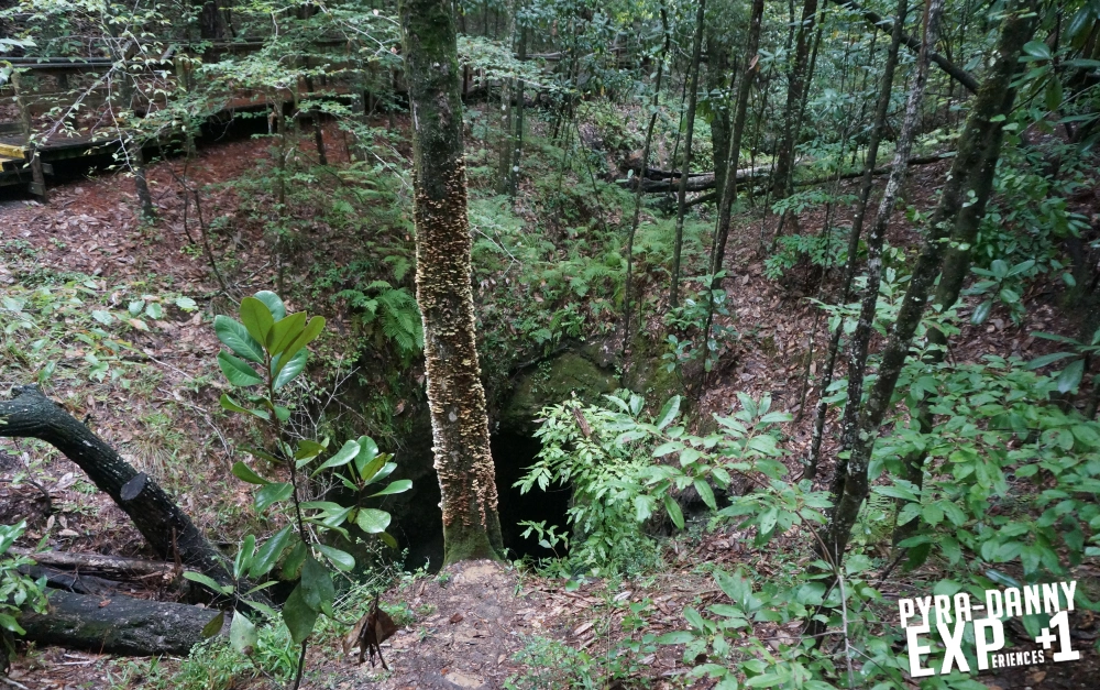 Sinkhole [The Tallahassee Outdoors | PyraDannyExperiences.com]